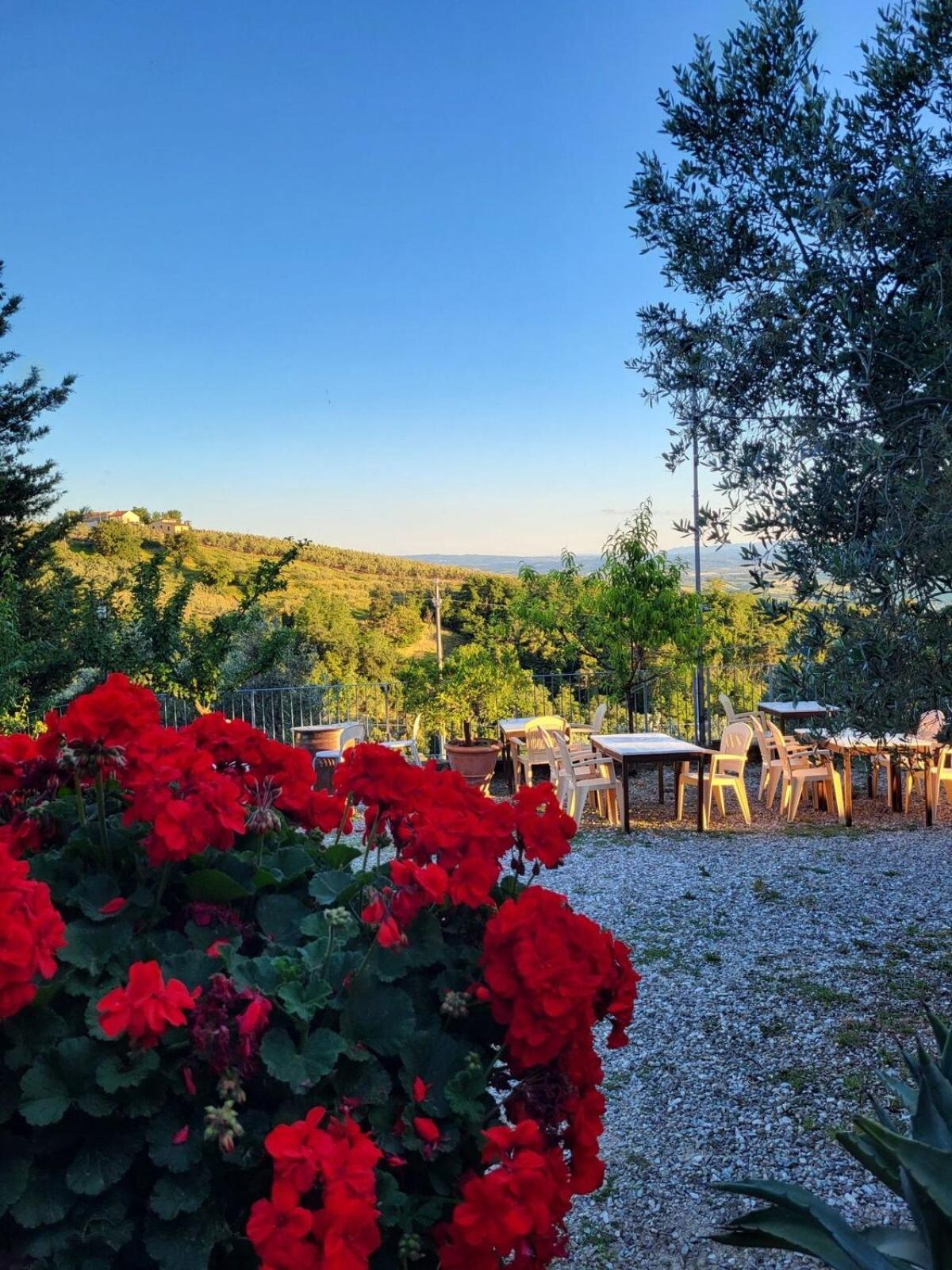Agriturismo La Gioconda Vinci Extérieur photo